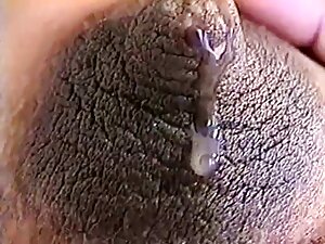 Brune film porno amé ...